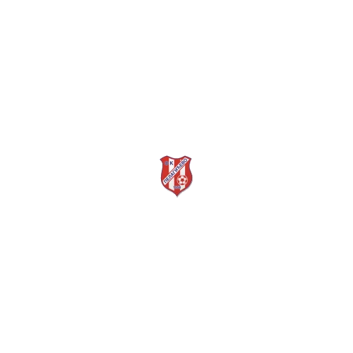 Pelagićevo 