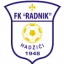 Radnik 