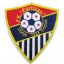 Partizan 
