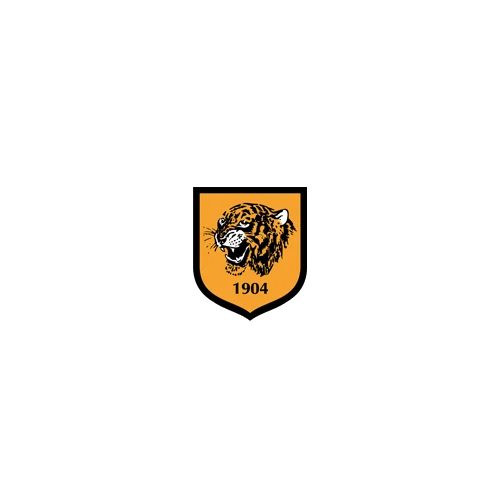 Hull City