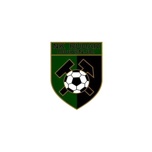 Rudar 