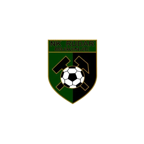 Rudar 