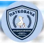 Patkovača