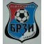 Brzi