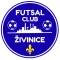 Živinice 