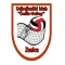 Čelik-odbojka Volley