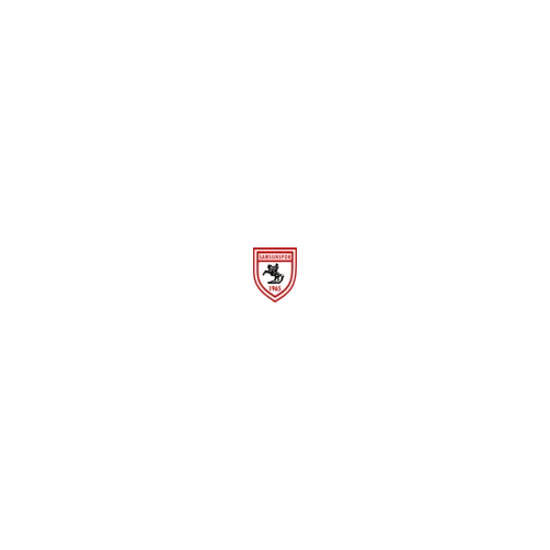 Samsunspor