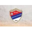 Reprezentacija PFSIS