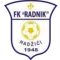 Radnik 