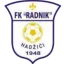 Radnik 