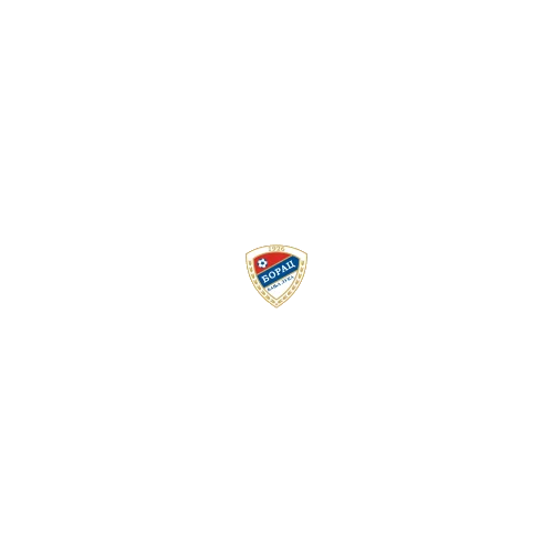 Borac
