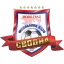 Svodna