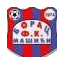 Borac