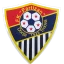 Partizan