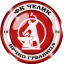 Čelik