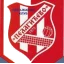 Pelagićevo