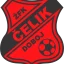 Čelik