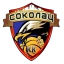 Sokolac