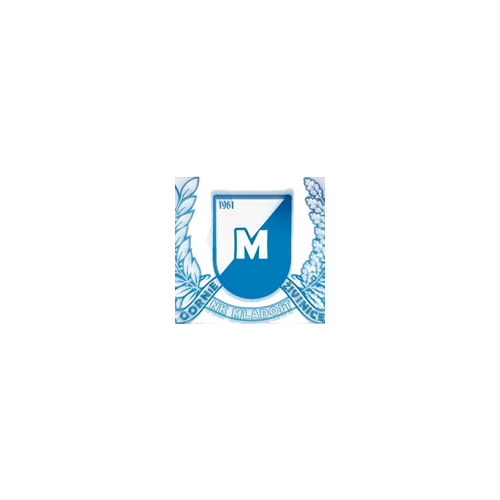 Mladost