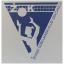   Gračanica 