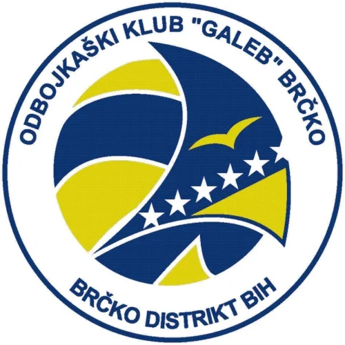 Galeb