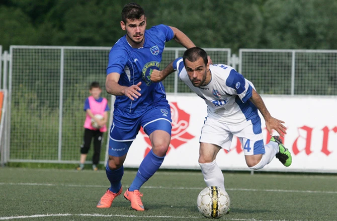 Elvir Koljić (pčlavi dres)