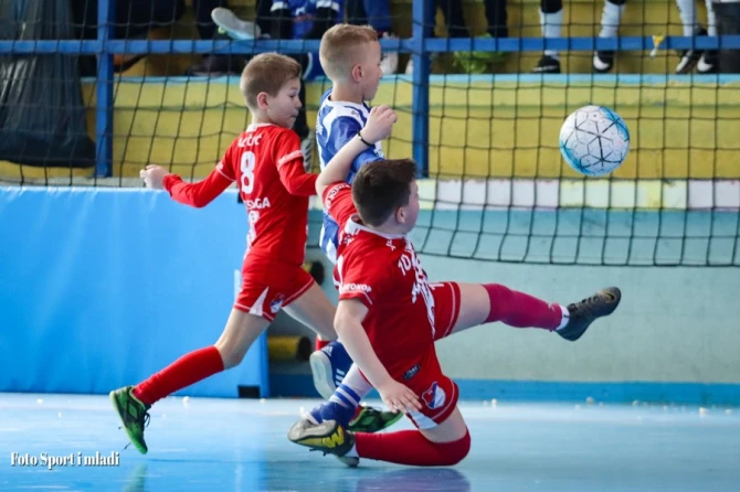 Sport i mladi/ Rade Šešlak