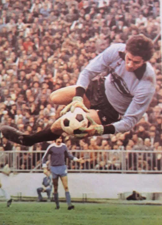 Milan Šarović/Fejsbuk