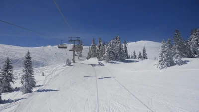 Trka poznatih 2019
