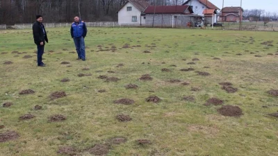 Krtice uništile teren Bratstva iz Poveliča