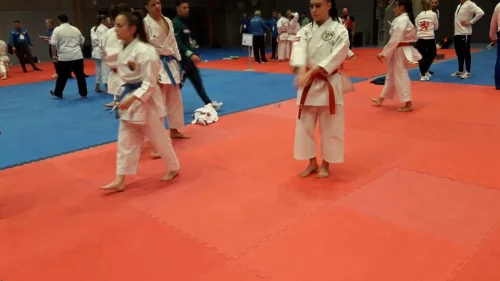 Isidora Borovčanin 14. na Evropskom prvenstvu