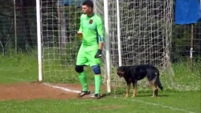 Golman mnalo sebi, malo cuki