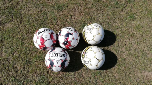 Članovi Prve i Druge lige Republike Srpske, Regionalna liga RS – Jug