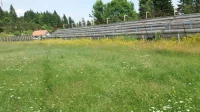 Stadion zapušten, klub pred raspadom: Upitan nastavak fukncionisanja FK Han Pijesak