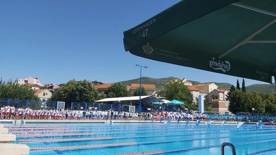 Sjajni plivači Leotara
