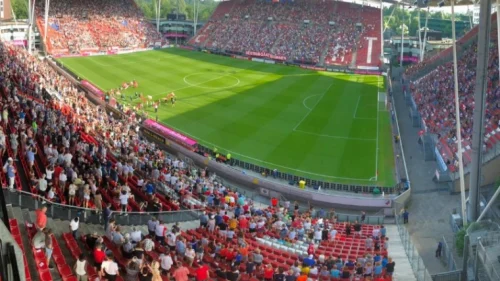 Govedarica čuva Zrinjski (video)