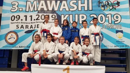 Igmanovi pioniri pobrali medalje na Mawashi kupu u Sarajevu