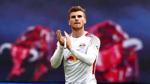 Verener Plavac, Nemačka: Bundesliga