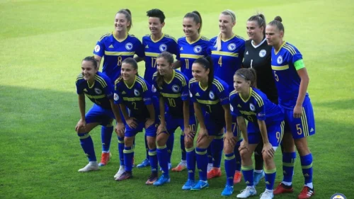 Bosna i Hercegovina poražena od Danske