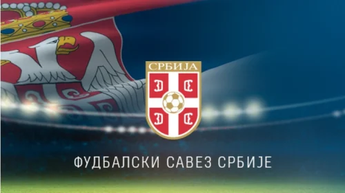 FSS pronašao krivca za neuspehe - Ljubišu Tumbakovića