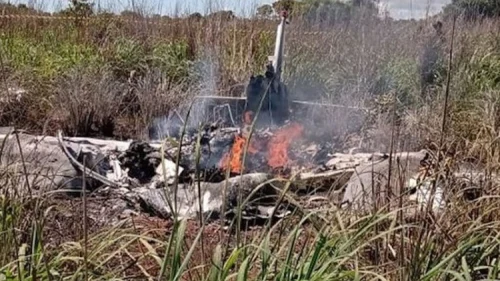 Pao avion sa igračima Palmasa (video)