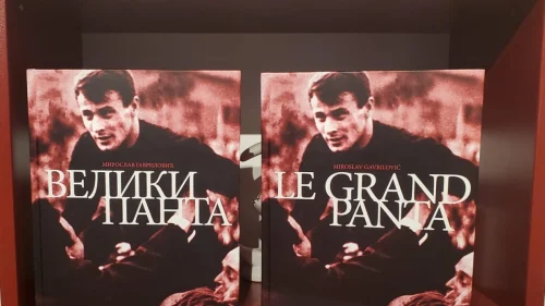 Veliki Panta – fudbalska storija o legendarnom golmanu