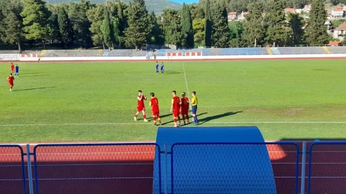 Remi pionira Bosne i Hercegovine i Crne Gore