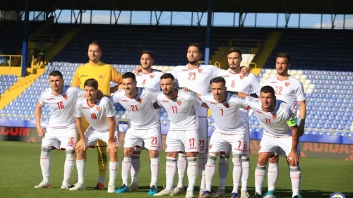 Šehić čuvar bh tima