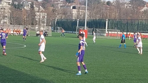 Grafičar na raketni pogon Burmaza i Babića torpedovao Zlatibor