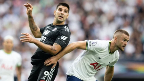 Novi gol Mitrovića, Premier League