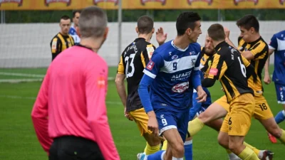 Remi Bratstva i Gradine
