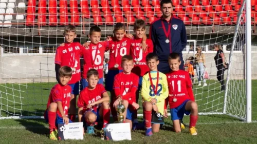 Borcu dupla kruna