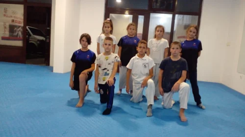 Pet medalja za TKD klub Tigar u Hadžićima