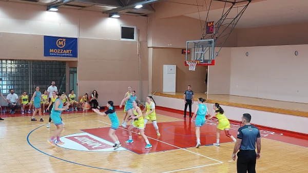 Pobjeda Feniksa za 1: 0 u finalnoj seriji, Prva liga Republike Srpske, play-off